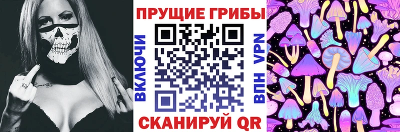 Псилоцибиновые грибы Cubensis  где можно купить наркотик  Губаха 