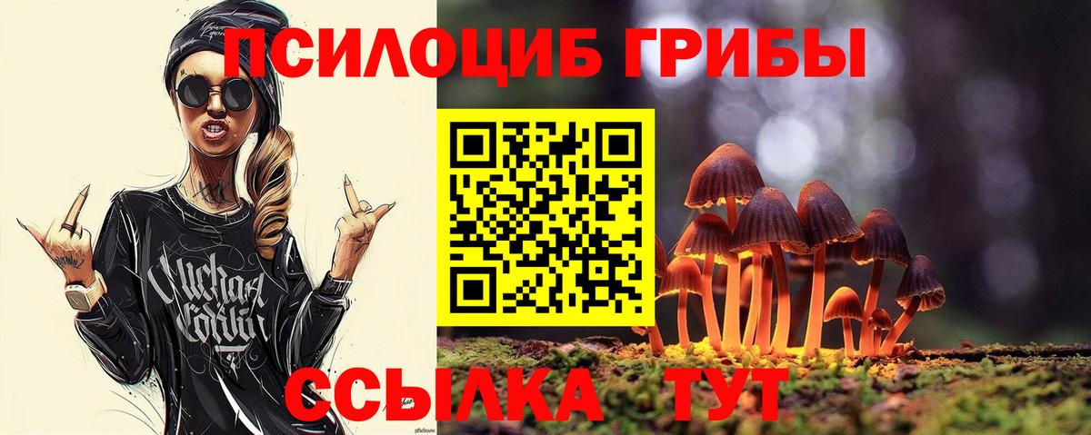 Псилоцибиновые грибы Cubensis  Вход с VPN  Губаха 