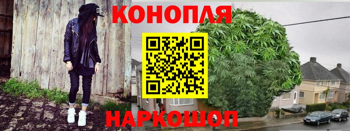 Губаха  Конопля сатива  Канабис MAZAR  Бошки Шишки Ganja  Вход с VPN 